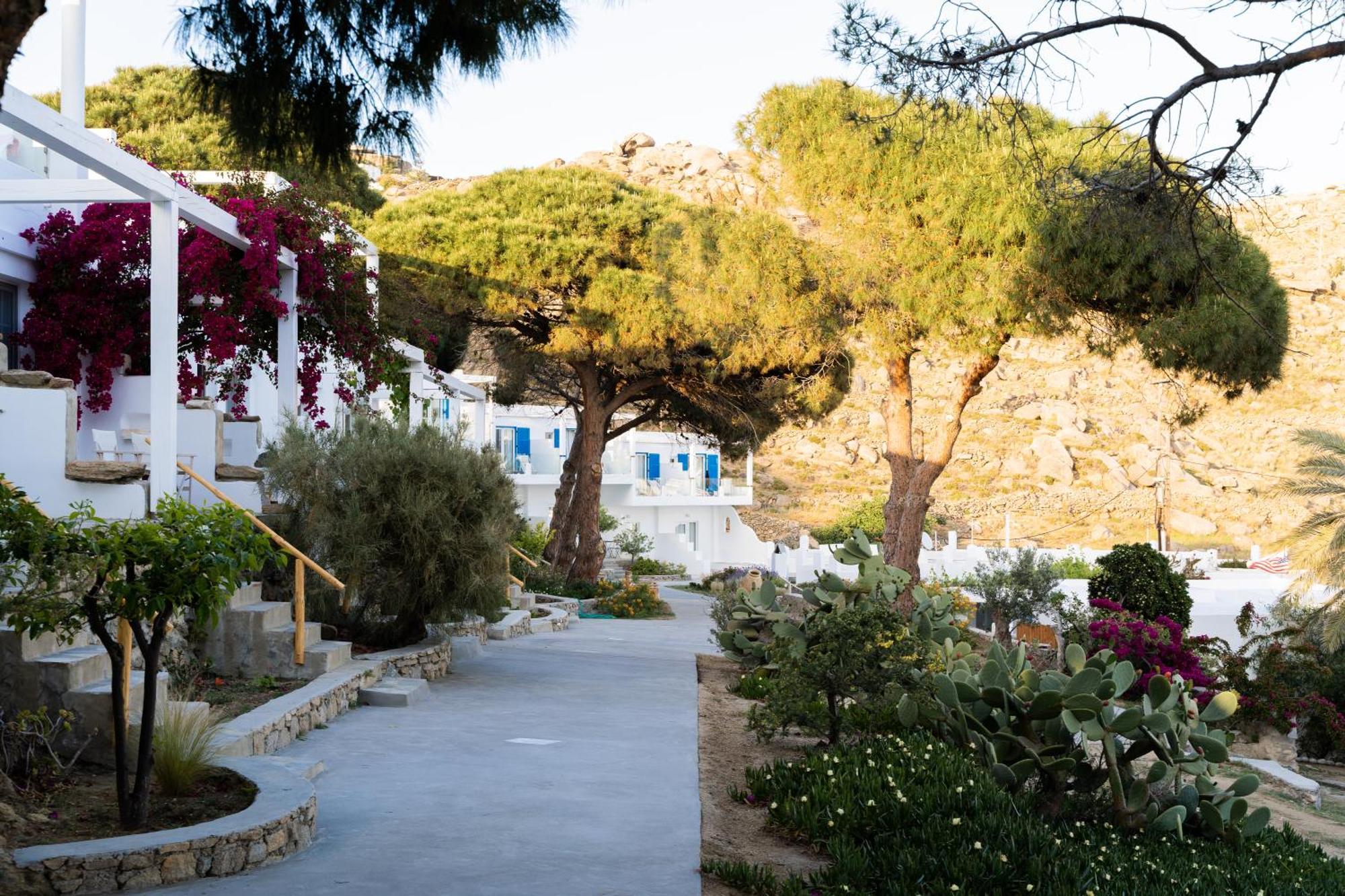 Rhenia Hotel Tourlos Exterior photo